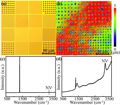 Figure 1. (a, b) Comparison of before and after iron etching. (a) Regular photolithography pattern on HPHT samples. (b) Etching pattern on Sample S-Ha. (c, d) Raman spectra for etched and unetched regions of Sample S-Ha after high-temperature plasma treatment. (c) Unetched region, containing only the first-order Raman characteristic peak of diamond in the spectrum. (d) Etched region, where the peaks at 1405.7 cm−1 (575 nm) and 3098.4 cm−1 (637 nm) correspond to the neutral and negative charge states of the NV center, respectively. These two peaks confirm the presence of NV centers.