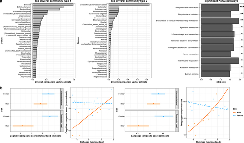 Figure 2. Overall α-diversity and β-diversity of the fecal microbiome (n = 28) in relation to the neurodevelopmental outcome metrics. (a) Two community types were determined to be present in the child (average age 7.6 months old) fecal microbiome dataset through the probabilistic method of dirichlet multinomial mixtures. These community types could be described at the taxonomic levels of family and genus, and top microbial genera driving the differential composition of these community types are indicated. Statistically significant Kyoto Encyclopedia of Genes and Genomes (KEGG) metabolic pathways differentiating the two community types from gene-set enrichment analysis of the t-scores produced from linear modeling are also displayed by the absolute value of their normalized enrichment scores (NES) and relative significance. ***p < .0001; **p < .001; *p < 0.01. (b) Overall α-diversity (i.e., richness) and β-diversity (i.e., community type) were significantly associated with the Bayley Scales of Infant Development III cognitive and language composite scores in a sex-dependent manner. Significance (p < .05) was determined through multiple regression after adjusting for gestational age at birth, birthweight, and age at assessment visit. Interaction plots of the standardized variables after modeling demonstrate the sex-dependent relationship of richness and these neurodevelopmental outcomes. Estimated marginal means (emmean) with 95% confidence intervals from the standardized variables after modeling demonstrate the sex-dependent relationship of community type and these neurodevelopmental outcomes.
