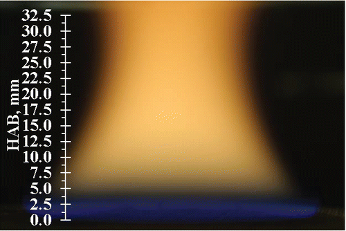 Figure 1. An image of the investigated flame.