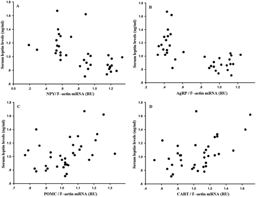 Figure 4. Correlation of (A) neuropeptide Y (NPY), (B) agouti-related protein (AgRP), (C) pro-opio-melanocortin (POMC) and (D) cocaine- and amphetamine-regulated transcript (CART) with serum leptin levels in Eothenomys miletus in different seasons.