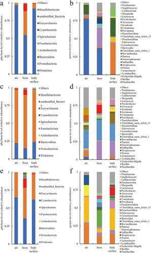 Figure 5. The relative abundance of bacteria at the phylum and genus levels in the doe pen. (a) Phylum in March, (b) Genus in March, (c) Phylum in April, (d) Genus in April, (e) Phylum ln May, and (f) Genus in May.