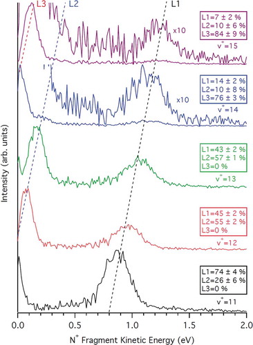 Figure 5. Kinetic energy release distributions of the N+ fragment generated from N2+ (C2∑u+) v+ =11 to 15, recorded at a fixed photon energy of 27.2 eV. The dashed diagonal lines show the three different dissociation limits available. For v+ =14 and v+ =15, the curves are also shown after multiplication by an order of magnitude to accentuate the weak dissociation to L2 and L1. The branching ratios to the three dissociation limits are provided for the five vibrational levels in Table 3