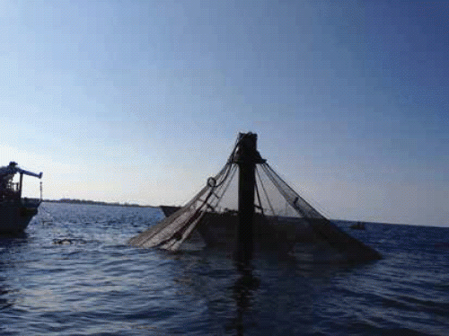 Figure 1a. Submersible net-pen near Kona, Hawaii.