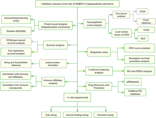 Figure 1 Analysis flow diagram of this study.