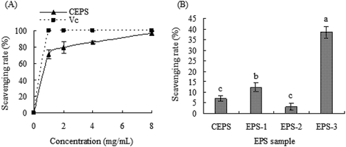 Figure 4. Hydroxyl radical scavenging ability of exopolysaccharides (EPSs) from Lactobacillus kimchi SR8. (a) Effect of crude exopolysaccharides (CEPS) and ascorbic acid (Vc) on hydroxyl radical scavenging ability; (b) Comparison of hydroxyl radical scavenging abilities of CEPS, EPS-1, EPS-2 and EPS-3, and different lower cases (a, b, and c) showed significant difference (p < 0.05).Figura 4. Capacidad de eliminación de radicales hidroxilo de los exopolisacáridos (EPS) de Lactobacillus kimchi SR8. (a) Efecto de los exopolisacáridos crudos (CEPS) y del ácido ascórbico (Vc) en la capacidad de eliminación de los radicales hidroxilos; (b) Comparación de las capacidades de eliminación de los radicales hidroxilos de los CEPS, EPS-1, EPS-2 y EPS-3; las distintas letras minúsculas (a, b, y c) son significativamente diferentes (p < 0.05)