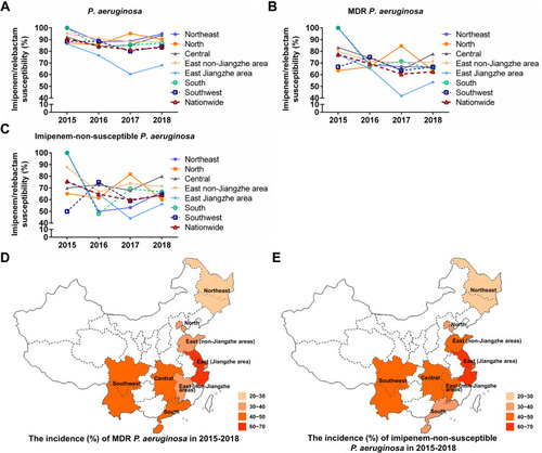 Figure 3 Changes in the susceptibility of (A) P. aeruginosa, (B) MDR P. aeruginosa and (C) imipenem-non-susceptible P. aeruginosa to imipenem/relebactam over time in different regions of China (2015, 2016, 2017, 2018). Country map to show the incidence (%) of (D) MDR P. aeruginosa and (E) imipenem-non-susceptible P. aeruginosa in different regions of China from 2015 to 2018.