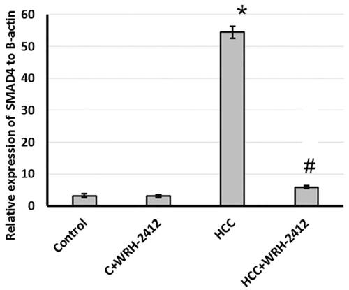 Figure 8. Effect of 5 mg/kg WRH-2412 on hepatic protein level of SMAD4. Values are expressed as the mean ± SEM, *p < 0.05 vs. control; #p < 0.05 vs. HCC group; HCC: hepatocellular carcinoma; C: control.