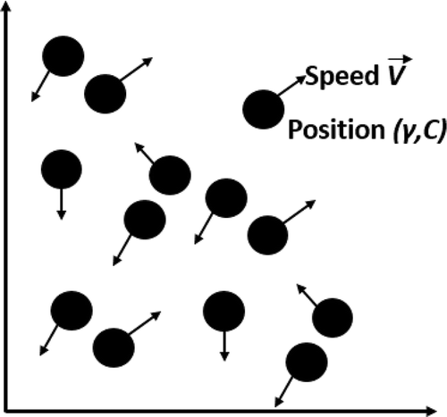 Figure 8. Particle representation in PSO.