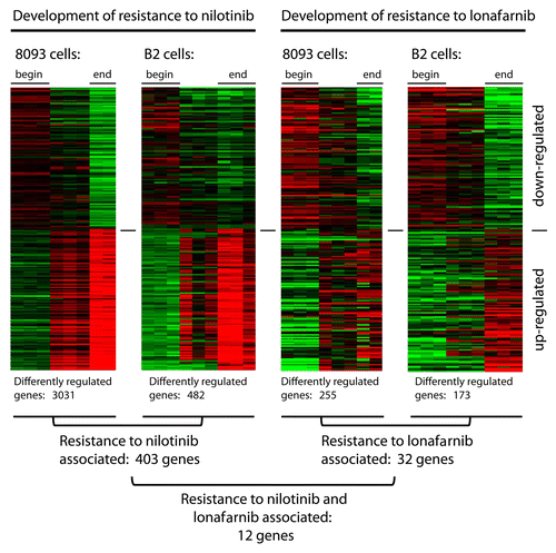 Figure 1. EMDR to two drugs with a different mechanism of action is accompanied by differential expression of common genes. Schematic illustration summarizing the results of gene expression profiling on two different pro-B lymphoblastic leukemia cell lines (8093 and B2) from BCR/ABL transgenic mice, that developed EMDR during treatment with nilotinib or lonafarnib in the presence of stroma. For each condition, the most up- and downregulated genes (lower part and upper part of the heatmap, respectively) are shown. Red and green represent the individual up-/downregulation values, respectively.