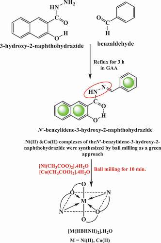 Scheme 1. The outline of the synthesis of H2BHNH and its Ni(II) & Co(II) complexes
