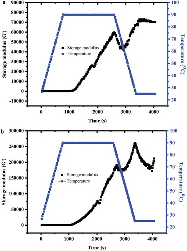 Figure 5. Changes of storage modulus (G’) for whey protein (a) and mixture of whey protein and pectin (b) during heating‒cooling treatment.Figura 5. Cambios en los módulos de almacenamiento (G’) para las proteínas de suero (a) y una mezcla de proteínas de suero y pectina (b) durante el tratamiento de calentamiento-enfriamiento.