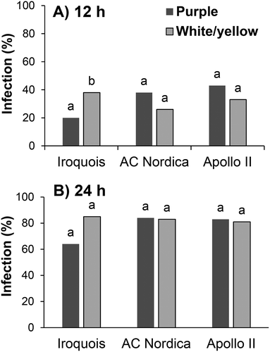 Fig. 4 Effect of flower colour on floret infection by Botrytis cinerea in three alfalfa cultivars. Columns topped with the same letter do not differ based on Duncan’s Multiple Range Test at P ≤ 0.05