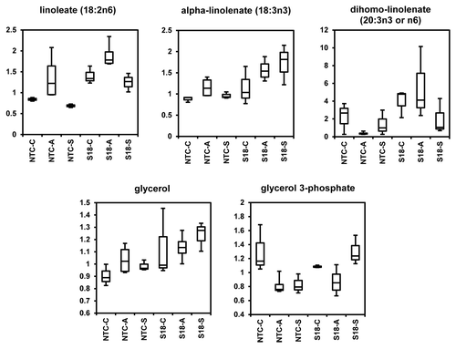 Figure 3. Box Plots representation of the amounts of linoleate (18:2n6), α-linolenate (18:3n3), dihomo-linolenate (20:3n3 or n6), glycerol and glycerol 3-phosphate in line S18 overexpressing BnPLC2 gene relative to NTC, grown under normal control conditions (C) and subjected to acclimatization (A) at +4 °C for 7 d and subzero stress (S) at -5 °C for 12h. The box represents the middle 50% of the distribution and upper and lower whiskers represent the entire spread of data. Horizontal line in the box body represents the median value. The y axis is a relative level (median scaled value). The P values for all comparisons are referenced in Table S2.