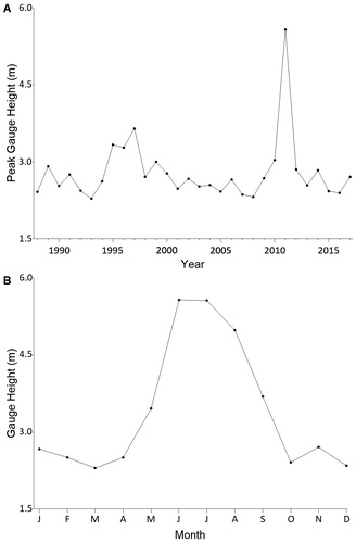 Figure 1. The 2011 Missouri river flood as depicted by (A) peak gauge height (m) from 1988 to 2017 and (B) monthly gauge height in 2011 for the United States Geological Survey gauge in Pierre, South Dakota, in Lake Sharpe. Data were obtained from Alexander et al. (Citation2001).