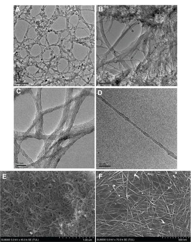 Figure 2 Transmission electron microscopy images of (A and B) pristine and (C and D) purified single-walled carbon nanotubes (SWCNTs) and scanning electron microscopy images of (E) pristine and (F) purified SWCNTs.