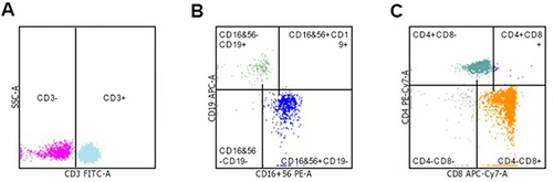 Figure 3 The result of flow cytometric analysis of peripheral blood lymphocytes. (A) Proportion of T lymphocytes in test group. (B) Proportion of B lymphocytes in test group. (C) Proportion of CD4CD8 double positive T cells in test group.