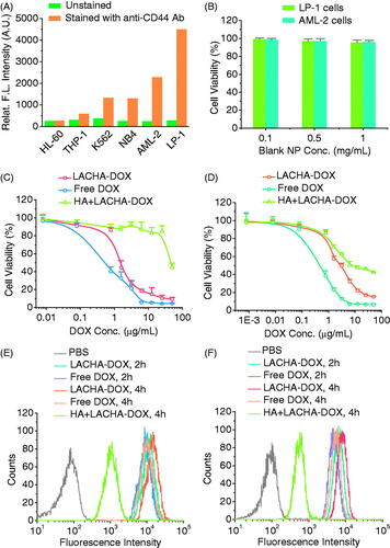 Figure 2. (A) CD44 expression in various blood cancer cells. Human MM cell line (LP-1) and human leukemia cell lines (HL-60, THP-1, K562, NB4, and AML-2) were treated with FITC-labeled antibody against CD44 receptors to determine the receptor levels on the surface of the cells by flow cytometry. (B) Cytotoxicity of bare LACHA nanoparticles in LP-1 and AML-2 cells following 48 h incubation (n = 4). The in vitro proliferative inhibition activity of LACHA-DOX toward LP-1 cells (C) and AML-2 cells (D). The cells were treated with LACHA-DOX for 4 h and then cultured in fresh medium for another 44 h. Free DOX was used as a control. The inhibition experiments were performed by pre-treating cells for 4 h with 5 mg/mL free HA prior to incubation with LACHA-DOX (n = 4). Flow cytometry of LP-1 cells (E) and AML-2 cells (F) following 2 and 4 h incubation with LACHA-DOX (10 μg DOX/mL). Free DOX was used as a control. The competitive inhibition experiments were performed by pre-treating cells with free HA (5.0 mg/mL) for 4 h before adding LACHA-DOX.