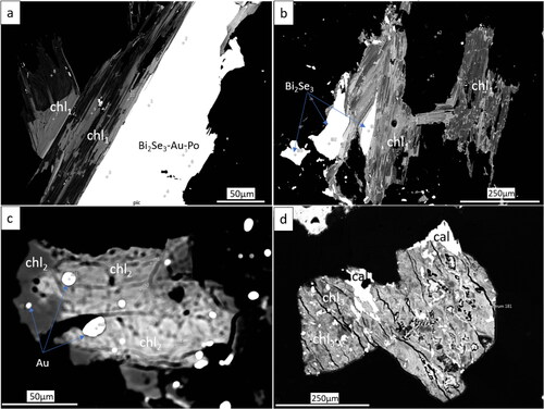 Figure 8. Representative SEM images of chlorite thermometry analyses for Au-rich quartz–feldspar mylonite, sample TH55. (a, b) Chlorite1 (chl1) that is altered from biotite and associated with bismuth selenide (±Au, pyrrhotite) in Au-rich quartz–feldspar mylonite, sample TH55. (c) Chlorite2 (chl2) containing inclusions of gold (Au). (d) Chlorite3 (chl3) associated with calcite.