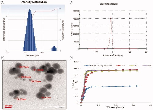 Figure 3. DOX SNEDDS: (a) Droplet size (F6), (b) zeta potential (F6), and (c) surface morphology of DOX SNEDDS by transmission electron microscopy, and (d) in vitro release profile of prepared SNEDDS in PBS 6.8.