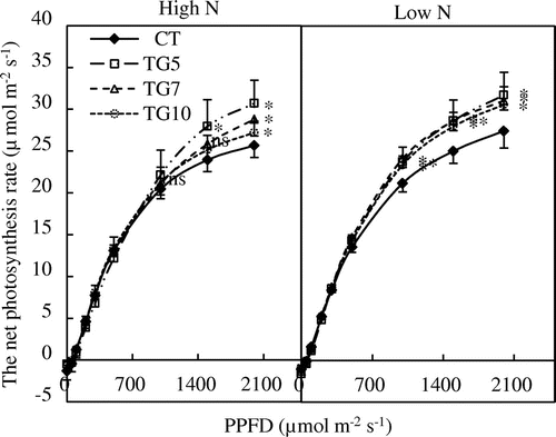 Figure13. The light response curves of Pn of control (CT) and transgenic (TG5, TG7 and TG10) lines under high and low N conditions at the heading stage. Data represent the mean values ± SD (n = 4). Statistical analysis of the data was performed by one-way ANOVA. Asterisks indicate that the mean values of TG5, TG7, and TG10 lines are significantly different from that of CT at p < 0.05 (*) and p < 0.01 (**). The letters ‘ns’ indicate not significantly different from CT at p < 0.05.