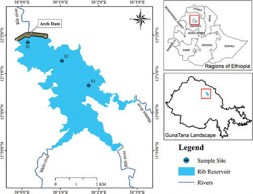 Figure 1. The study area map reveals the sites of specimen collection of the Ribb Reservoir, Ethiopia.