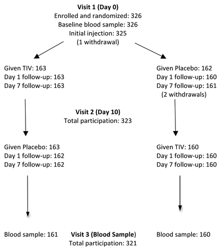 Figure 1. Summary of participation in crossover protocol. Comment: one subject withdrew before the initial injection, a second withdrew shortly after the initial injection (placebo, with code break) and a third withdrew prior to the second injection. Two subjects opted out of visit 3.