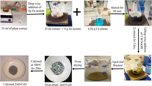 Figure 2. Schematic green synthesizes representation of ZnO/CuO NCs (20%).