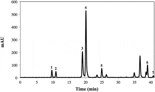 Figure 3. Typical HPLC-DAD carotenoid chromatogram (shown at 450 nm) from acetone (0.1% BHT) extracts of frozen broccoli. Tentative identification of peaks was performed as indicated in Table 2. Peak assignment: (1) Neoxanthin; (2) Violaxanthin; (3) Chlorophyll b; (4) Lutein; (5) Chlorophyll a; (6) β-cryptoxanthin; (7) β-carotene.Figura 3. Perfil cromatográfico típico obtenido mediante HPLC-PDA de carotenoides (mostrado a 227 nm) presentes en extracto acetónico (0.1% BHT) de brócoli congelado. La identificación tentativa de los picos cromatográficos se realizó como se indica en la Tabla 2. Asignación de picos: (1) Neoxantina; (2) Violaxantina; (3) Clorofila b; (4) Luteína; (5) Clorofila a; (6) β-criptoxantina; (7) β-caroteno.