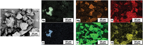 Fig. 3. SEM BSE images and EDS element maps of site A dust. Particles are largely carbonates and aluminosilicates. A single large grain of NaCl with a rim of soda niter (NaNO3) is prominent (reproduced from the site A report).[Citation6]