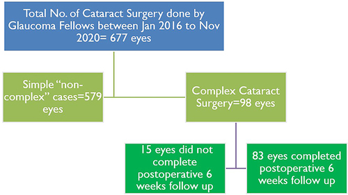 Figure 1 Flow chart of the number of eyes operated during the study period.