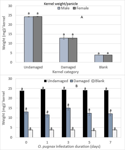 Figure 9. O. pugnax sex (A) and infestation duration (B) on the weight of undamaged, damaged, and blank per kernel.