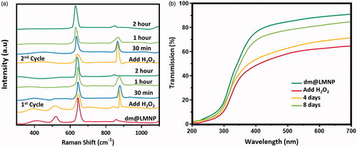 Figure 7. Raman and UV-visible spectroscopic techniques to examine the ROS scavenging ability of the dm@LMNP.