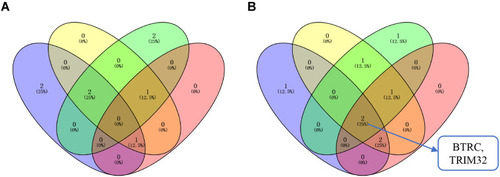 Figure 9 Venn diagram. (A) The intersection of the upregulated hub genes and the hub genes with poor prognosis. Blue circles represent hub genes with upregulated mRNA expression in drug-resistant tissues; yellow circles represent hub genes with upregulated mRNA expression in ccRCC; green circles represent hub genes with upregulated protein expression in ccRCC; red circles represents hub genes related to poor prognosis. (B) The intersection of downregulated hub genes and hub genes with good prognosis. The blue circles represent hub genes with downregulated mRNA expression in drug-resistant tissues; the yellow circles represent hub genes with downregulated mRNA expression in ccRCC; the green circles represent hub genes with downregulated protein expression in ccRCC; and the red circles represent hub genes related to good prognosis.