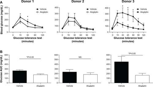 Figure 2 Comparison of glucose tolerance tests in control and alogliptin-treated mice engrafted with human islets.