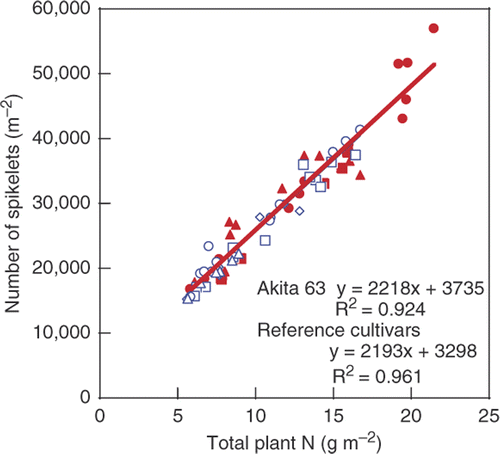 Figure 2. Relationship between number of spikelets and total plant nitrogen (N) content per unit land area at harvest in Akita 63 and the reference cultivars, Yukigeshou, Toyonishiki and Akitakomachi. (Mae et al. Citation2006, with permission from Elsevier) Symbols are the same as those in Fig. 1.