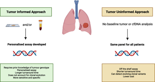 Figure 1 Tumor Informed and Tumor Uninformed Approaches for MRD Assessment. Comparison of tumor informed and tumor uninformed assays. Created with biorender.com.