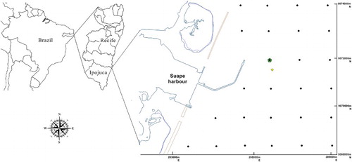 Figure 1. Location of the buoy moored off Suape Harbor in Ipojuca, Pernambuco state, northeastern Brazil. The position of the UFPE01 buoy (yellow lozenge) and the DOW (Downscaling Ocean Waves) point (green), as described below. The black dots represent the model grid (1 km by 1 km).