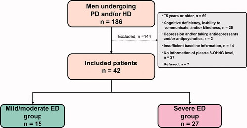 Figure 2. Participant selection of men on dialysis. The number of included and excluded patients is shown. PD: peritoneal dialysis; HD: hemodialysis; ED: erectile dysfunction; 8-OHdG: 8-hydroxy-2'-deoxyguanosine.