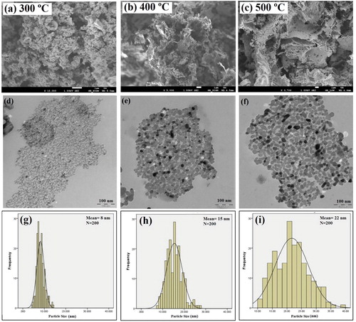 Figure 2. FE-SEM images, TEM images, and size distribution graphs of synthesized NiO NPs at 300, 400, and 500 °C.
