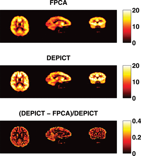 Figure 9 The VT estimates of FPCA approach and DEPICT approach and their differences for subject 2913. The VT's estimated by FPCA are in general smaller than those by DEPICT with VT's reduced about 12.4%.