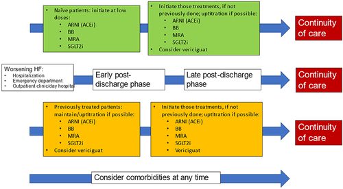 Figure 5 Therapeutic optimization of patients with recent WHF episode.