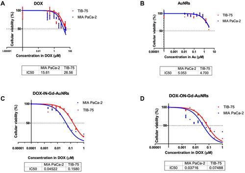 Figure 3 Cytotoxicity MTT tests with two cell lines (MIA PaCa-2, TIB-75); IC50 values are expressed at different concentrations of Au, Gd and DOX. (A) DOX alone; (B) AuNRs; (C) DOX IN –Gd-AuNRs; (D) DOX ON-Gd-AuNRs.