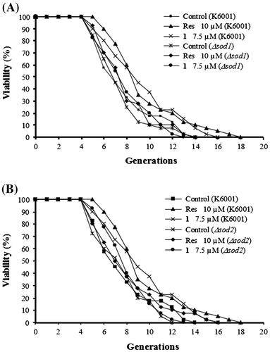 Fig. 5. Effects of 1 on the replicative lifespan of sod1 (A), sod2 (B) mutant yeast strains with a K6001 background. The daughter cells of 40 microcolonies of each plate were counted randomly. The assay was repeated at least thrice. The results were displayed as mean ± SEM. The average lifespan of untreated K6001 was 6.85 ± 0.42 generations; Res (resveratrol, positive control) at 10 μM, 8.70 ± 0.48**; and 1 at 7.5 μM, 8.40 ± 0.48*.