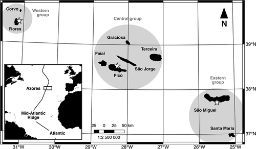 Figure 1. Sampling sites (stars) in the Azores for Holothuria mammata and H. sanctori: eastern group (Caloura, São Miguel Island; N37°42ʹ25”, W25°30ʹ32”), central group (São Roque, Pico Island; N38°31ʹ39”, W28°19ʹ08”) and western group (Santa Cruz, Flores; N39°27ʹ17”, W31°07ʹ29”).