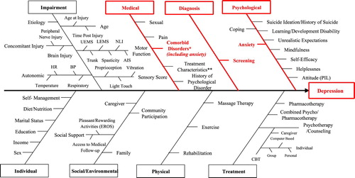 Figure 2 Depression Driver diagram. UEMS: Upper-Extremity Motor Score; LEMS: Lower-Extremity Motor Score; NLI: Neurological Level of Injury; AIS: ASIA Impairment Scale; HR: Heart Rate; BP: Blood Pressure; PIL: Purpose In Life; EROS: Environmental Rewards Observation Scale; CBT: Cognitive Behavioral Therapy. *Personality disorder, substance abuse, bipolar disorder, Schizophrenia, anxiety, and Post-Traumatic Stress Disorder (PTSD). **Intravenous anesthesia, tracheostomy, artificial respiration, and gastrostomy.