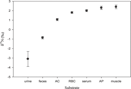 FIGURE 3 Mean (±SE) δ15N values of reindeer and caribou tissue on the Seward Peninsula during winter. AC  =  antler core; RBC  =  red blood cells; AP  =  antler periphery. (n  =  urine (3), feces (41), AC (97), RBC (32), serum (65), AP (77), muscle (11)).