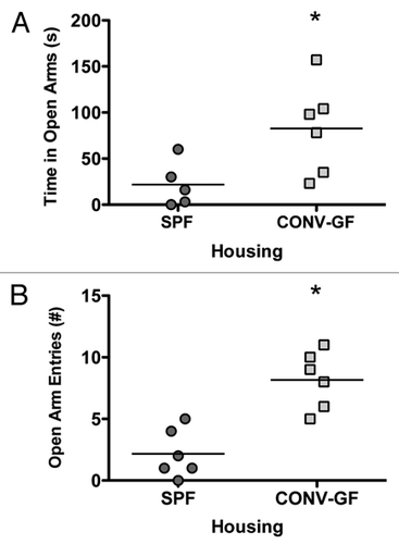 Figure 1 EPM testing of SPF and conventionalized GF mice (CONVGF) showed increased open arm (A) and increased open arm entries (B) in CONV-GF mice compared to SPF mice. *p < 0.05.