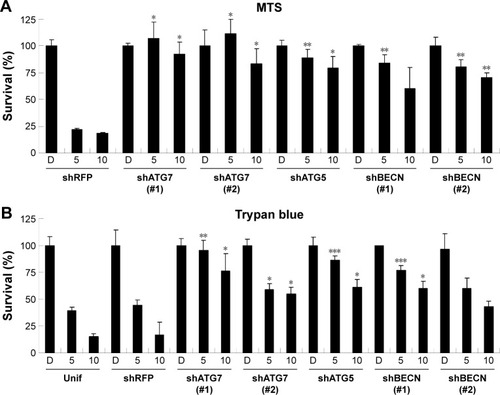 Figure 5 The RNAi-mediated downregulation of autophagy-related genes hinders lapatinib-induced autophagic cell death in U937 cells.