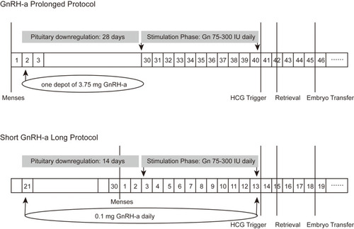 Figure 2 Timeline of the two stimulation protocols.