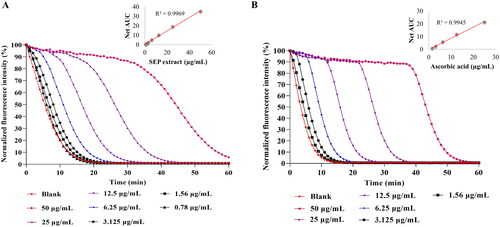 Figure 3. Determination of Oxygen radical absorbance capacity (ORAC) of E. purpurea (SEP) extract. ORAC assay was performed for (A) SEP extract and (B) ascorbic acid at respective concentrations and the results expressed as Trolox equivalence/g.